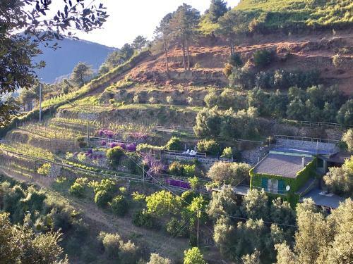 Agroturismo Villa Pietrafiore
