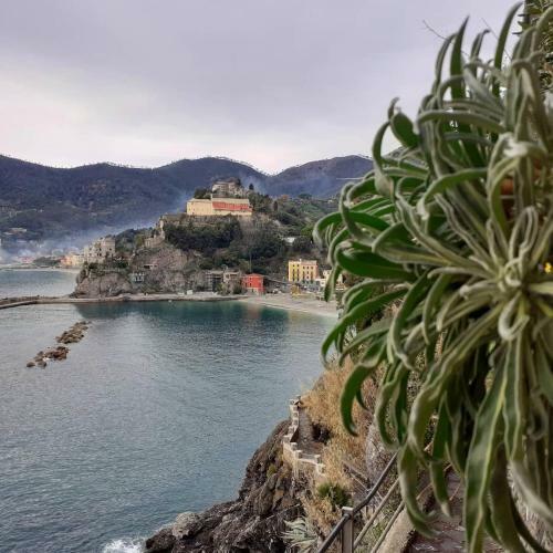 Apartamento Appartamento Tranquillo A Monterosso