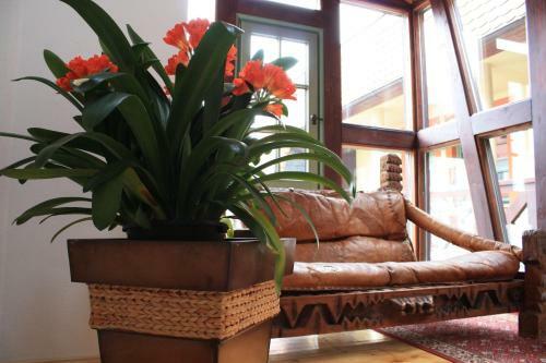 Hostal Haus Buchheim - Pension Am Schloss