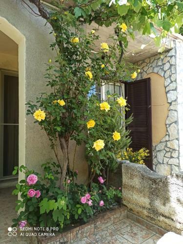 Bed & Breakfast Dolcedorme Del Pollino