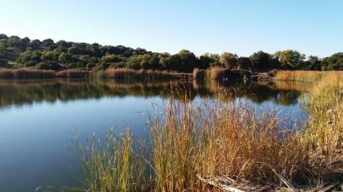 Agroturismo Agriturismo Sa � Padedda