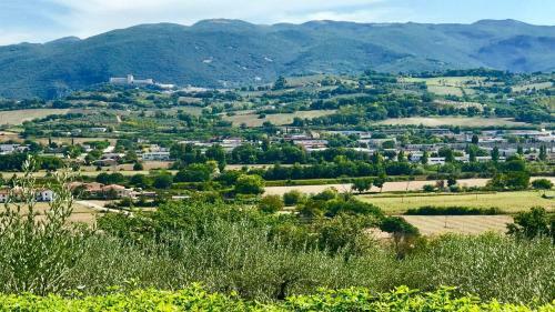Villa Spoleto Tranquilitapoolslps 20spoleto 15 Mins