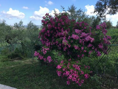 Apartamento Appartamento Sole