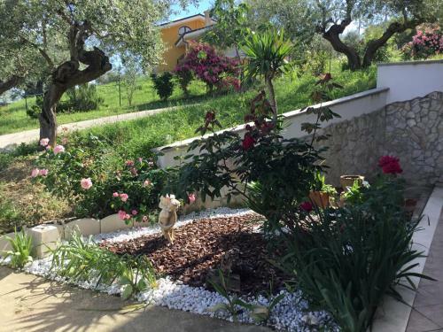 Apartamento Appartamento Sole