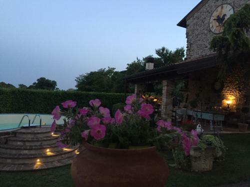 Bed & Breakfast Gallo Delle Pille Country House