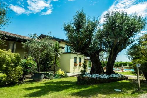Agroturismo Agriturismo" Il Glicine Bianco"