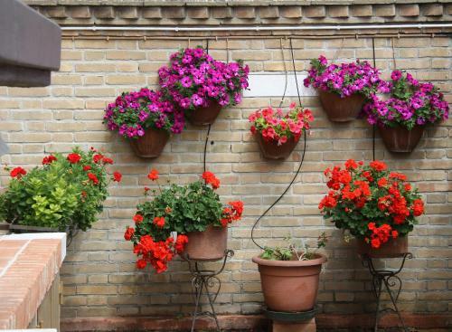 Apartamento Murano Garden House