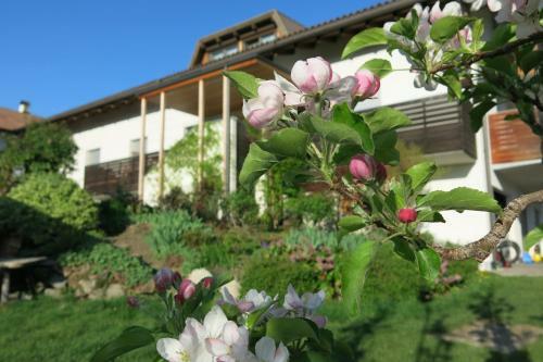 Apartments Schwarzlehen
