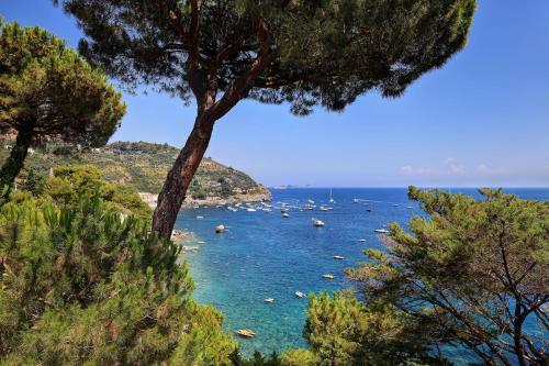 Villa Flory