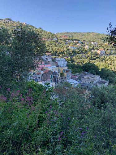 Petit Maison Jeranto