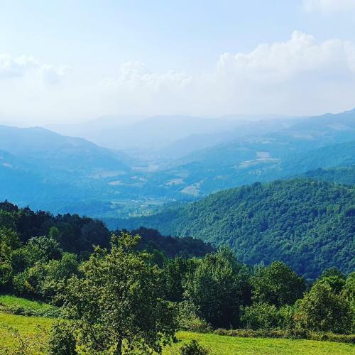 Langhe Paradisot