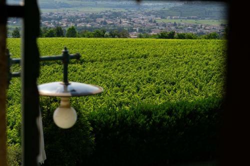 Lodge Villa Vitis