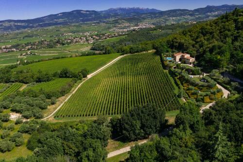 Lodge Villa Vitis