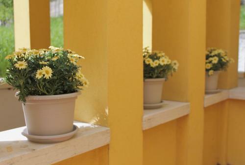 Apartamento Appartamento Rose E Tulipani 3