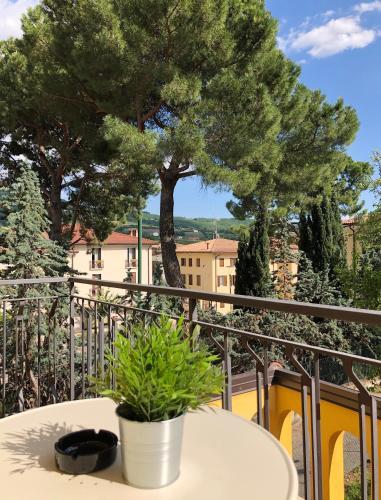 Apartamento Appartamento Rose E Tulipani 4