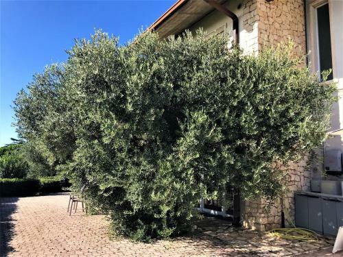 Apartamento Valpolicella Hills