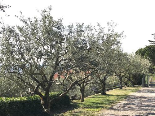 Apartamento Valpolicella Hills