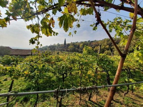 Apartamento L'antico Granaio