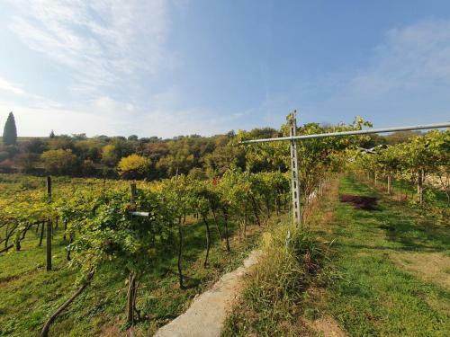 Apartamento L'antico Granaio