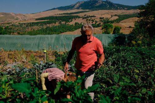 Sicilian Mountain Oasis - Entire Villa, Smart Working