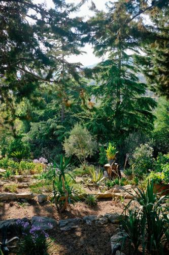 Sicilian Mountain Oasis - Entire Villa, Smart Working