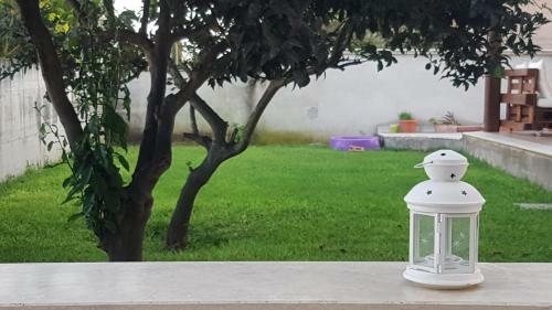 Hostal Guest House Orchidea