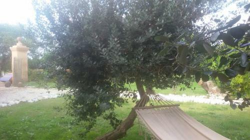 Agroturismo Villa Giulia