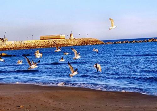 La Loggetta Sul Mare