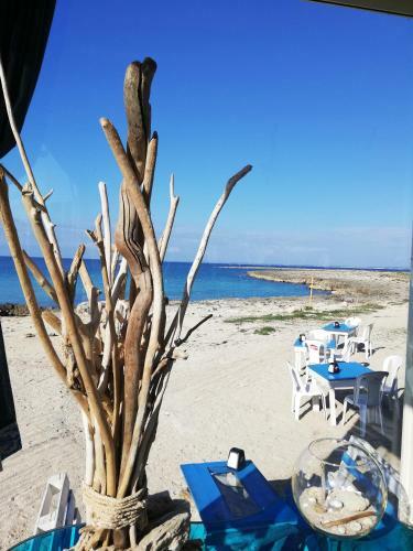 Bed & Breakfast Il Giardino Dei Tramonti