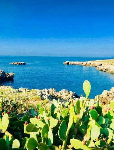 Bed & Breakfast Il Giardino Dei Tramonti