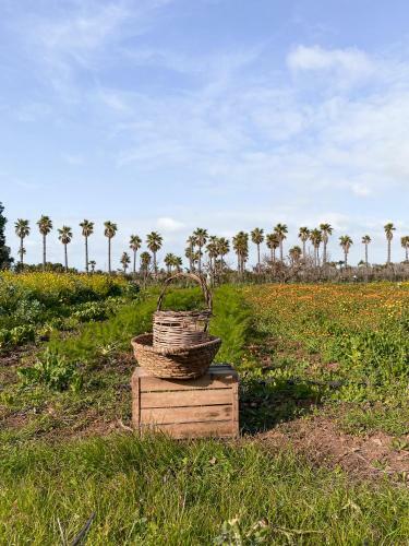 Bed & Breakfast Galeta Masseria