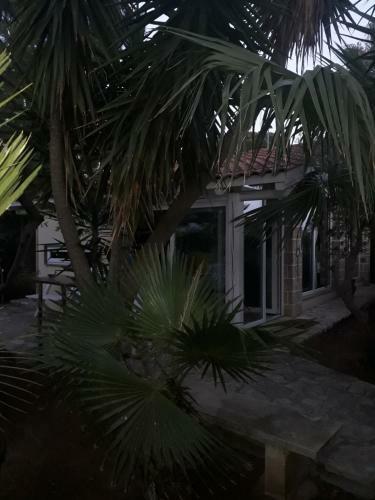 Cottage Nel Verde