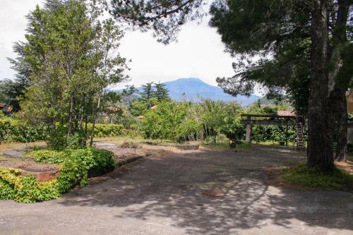 Terra Lavica Luxury Home Holidays
