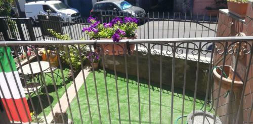 Bed & Breakfast B & B Amici Dell'etna