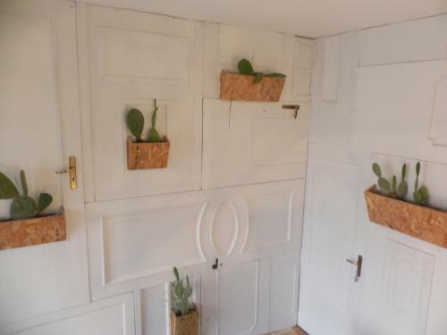 Hostal Gea Apartment Etna