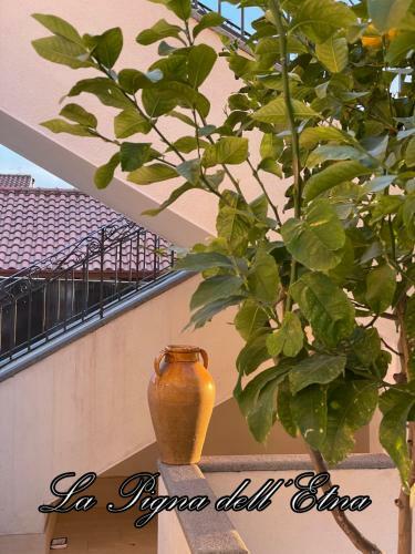 Apartamento La Pigna Dell'etna
