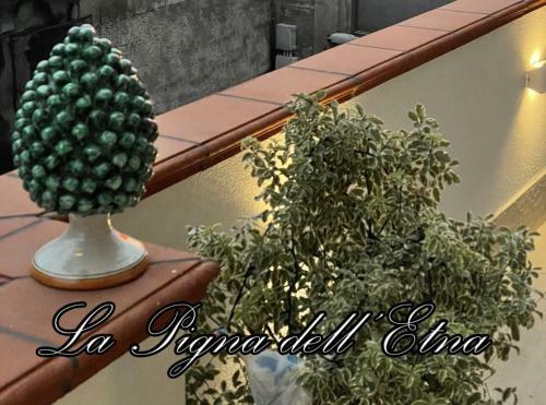 Apartamento La Pigna Dell'etna