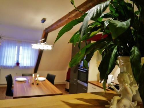 Apartamento Haus-wolter