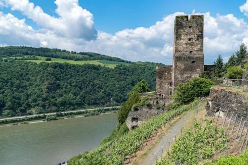 Apartamento Romantisch Wohnen In Kaub Direkt Am Rhein
