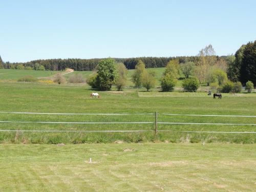 Apartamento Wohnen Auf Zeit - Kell Am See