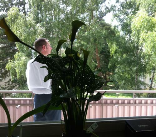 Ask Rooms Privatzimmer In Kassel