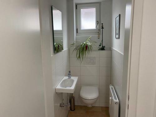 Apartamento Rheingold