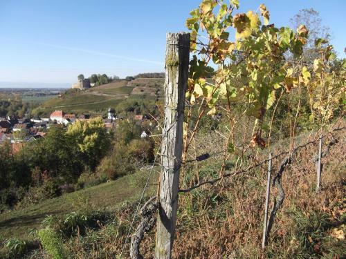 Apartamento Fewo Im Alten Schlossgarten