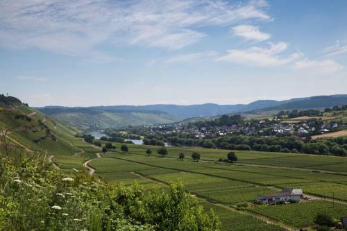 Apartamento Kastanienhof Weingut Esseln