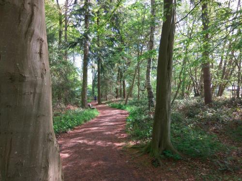 Apartamento Wellness Ferienwohnung Waldblick