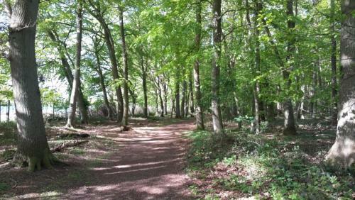 Apartamento Wellness Ferienwohnung Waldblick