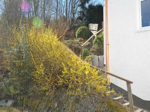 Apartamentos Rothaarsteig Ferienhaus
