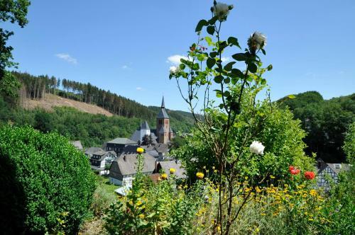 Apartamentos Rothaarsteig Ferienhaus