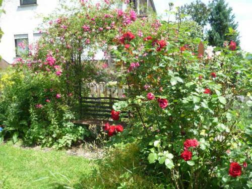 Apartamentos G�stehaus Rosengarten Im Nahetal