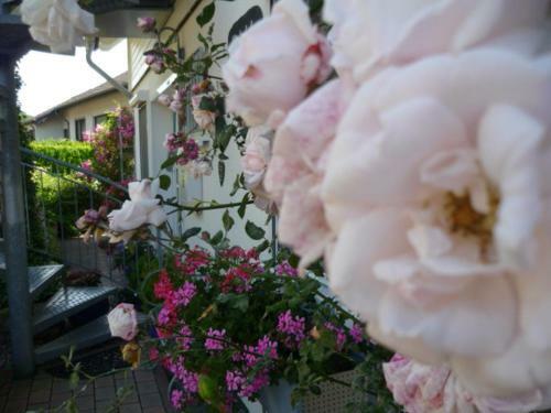 Apartamentos G�stehaus Rosengarten Im Nahetal